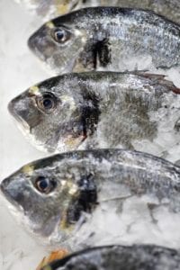 fish industry and omega-3's