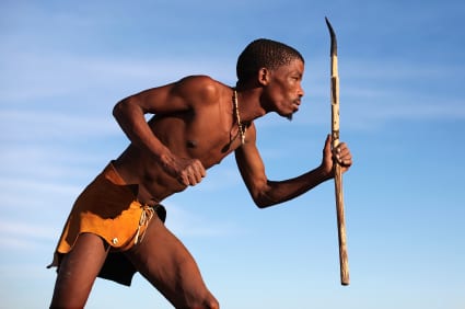 Hunter gatherer tribes consume far more meat than we do in developed countries without incidence of diet related disease.