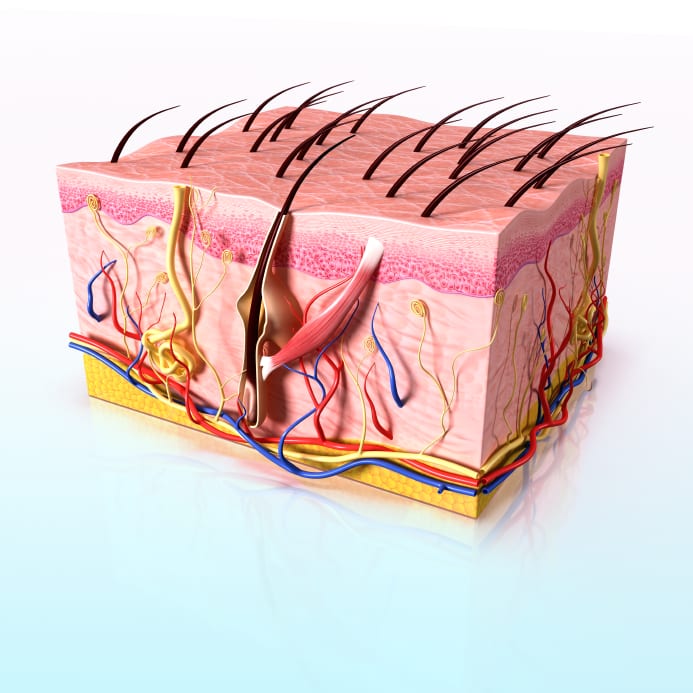 5 Ways To Deal With Loose Skin After Weight Loss