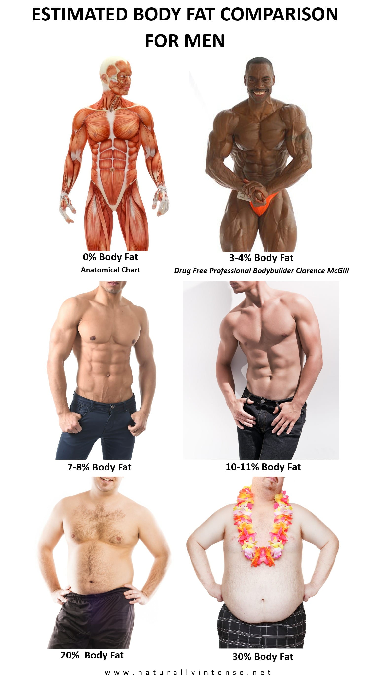 Fat For Males 77