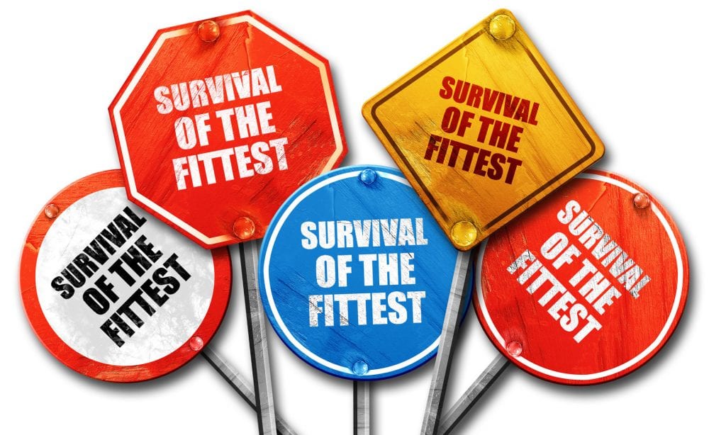 urvival of the fittest