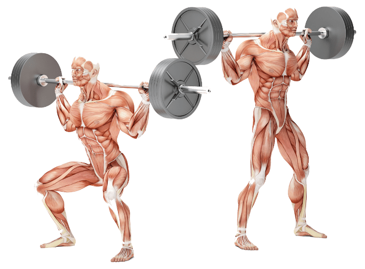 bodybuilding personal training exercises